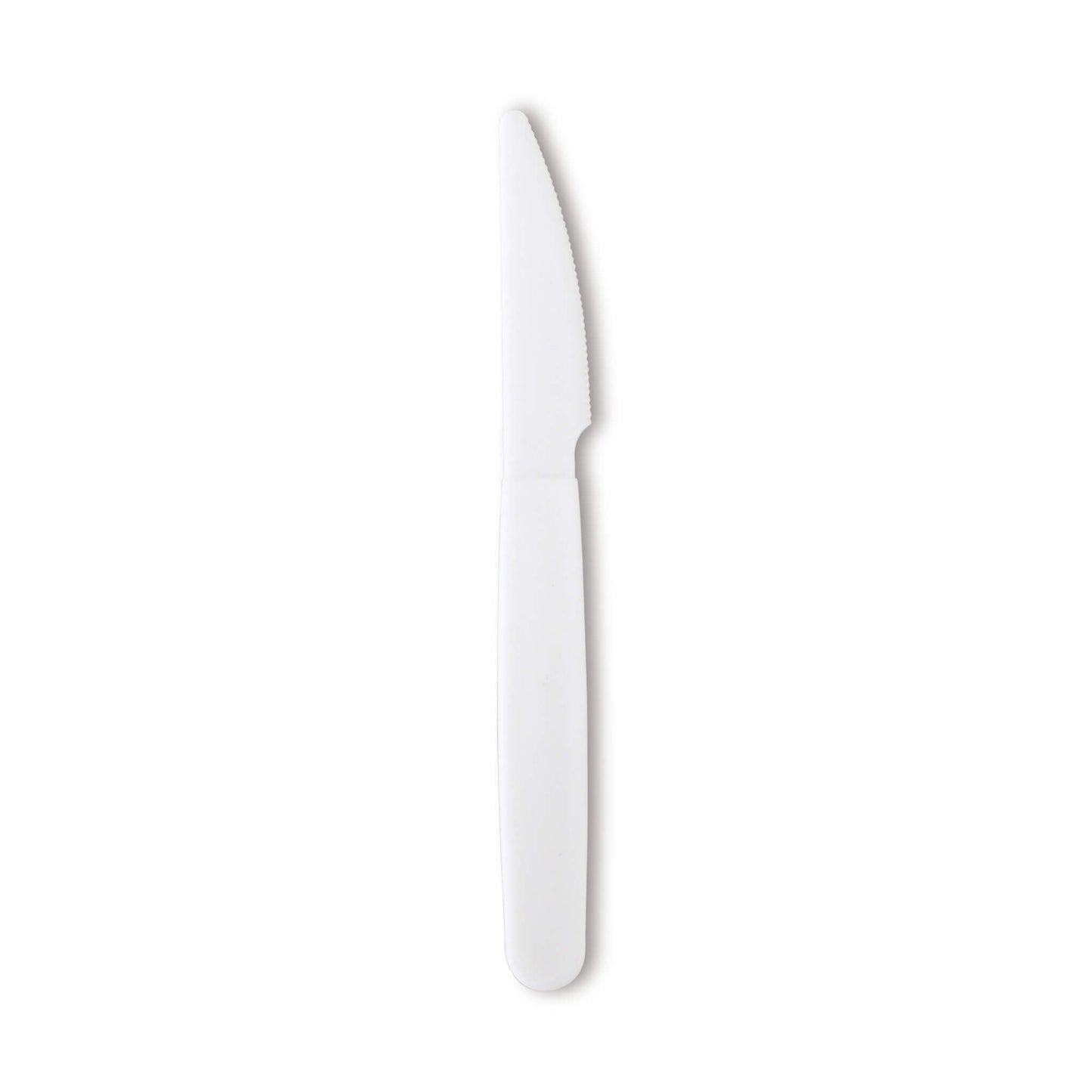 Reusable plastic knife from 30-piece picnic box set.